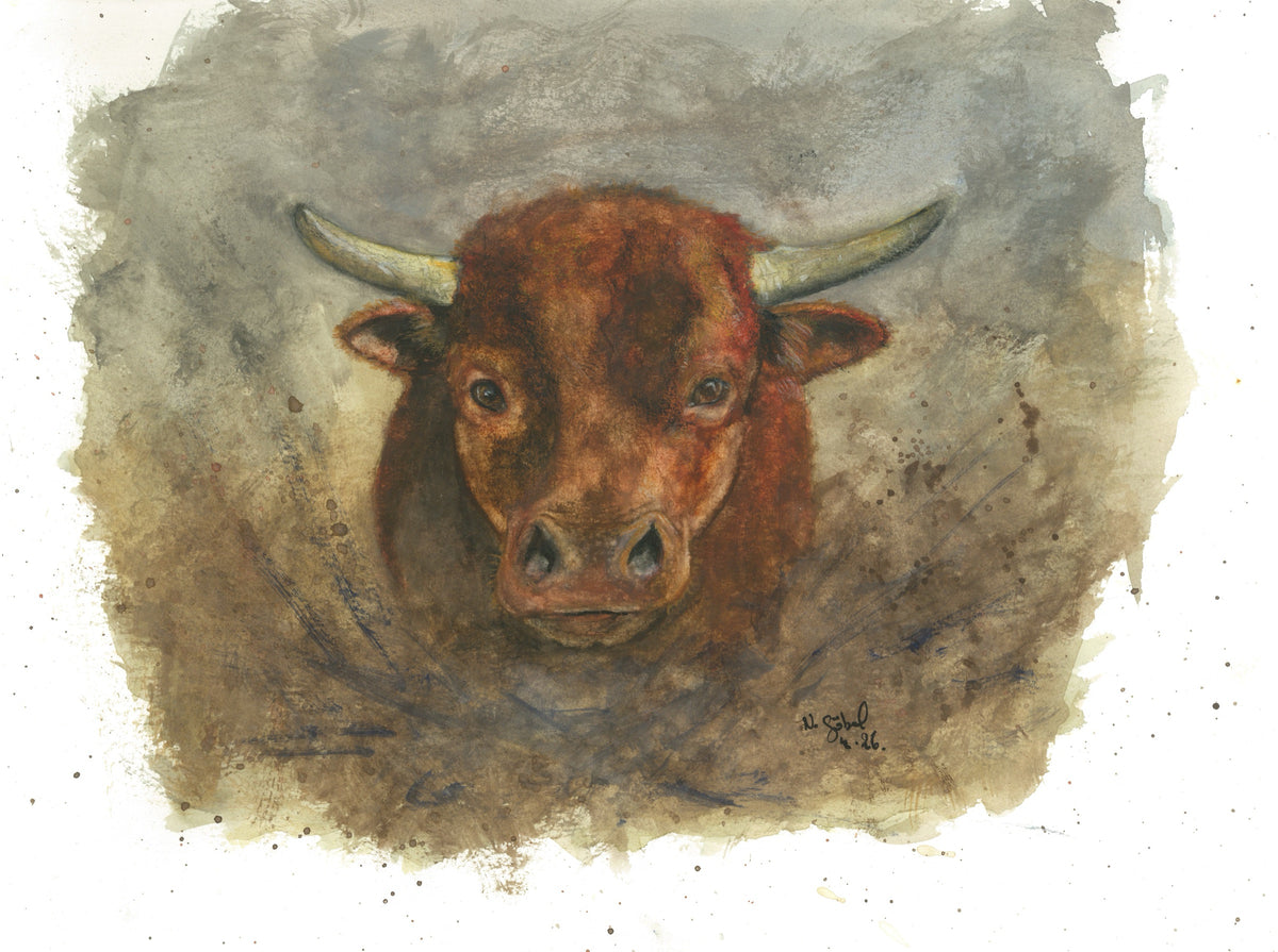 Fine Art Print nach dem Aquarell „Standhaft“ von Nicole Göbel: Stier in frontaler Ansicht