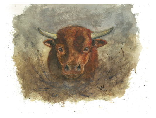 Fine Art Print Stier Aquarell Standhaft, Kunstdruck mit weißem Rand