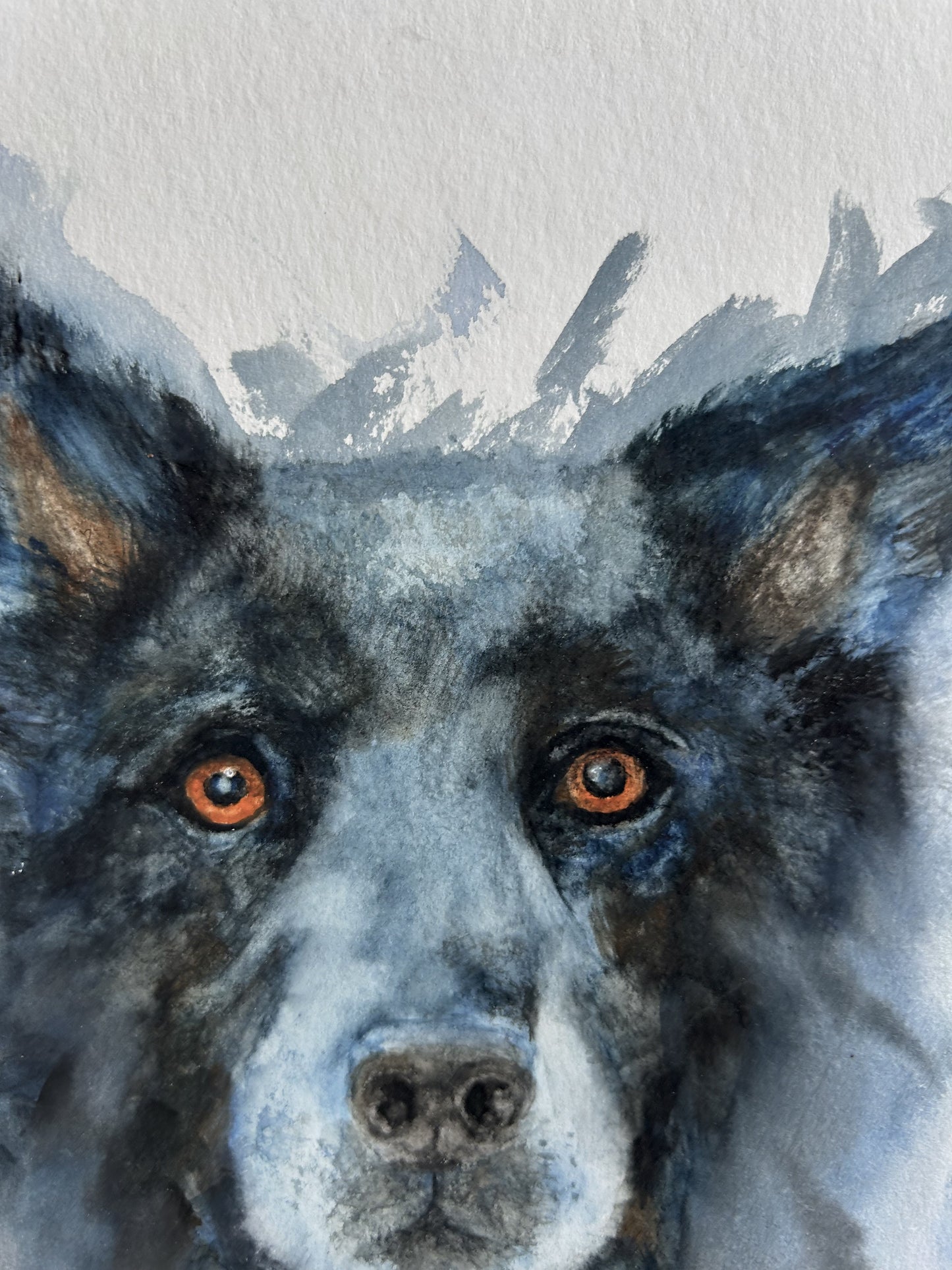 Detailaufnahme der Originalkunst Hund als Aquarell "Gefährte" von Nicole Göbel.