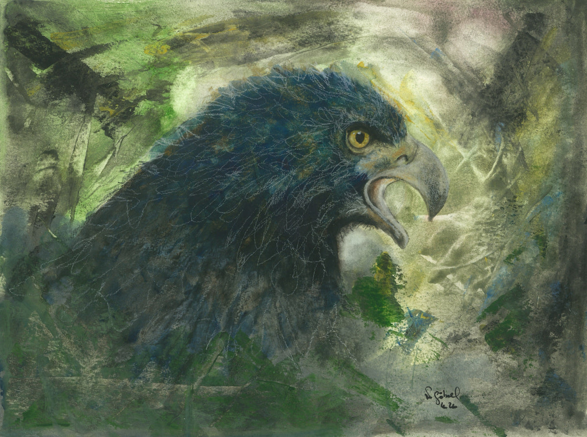 Fine Art Print nach dem Aquarell 
„Fokus“ von Nicole Göbel: Adler im Porträt