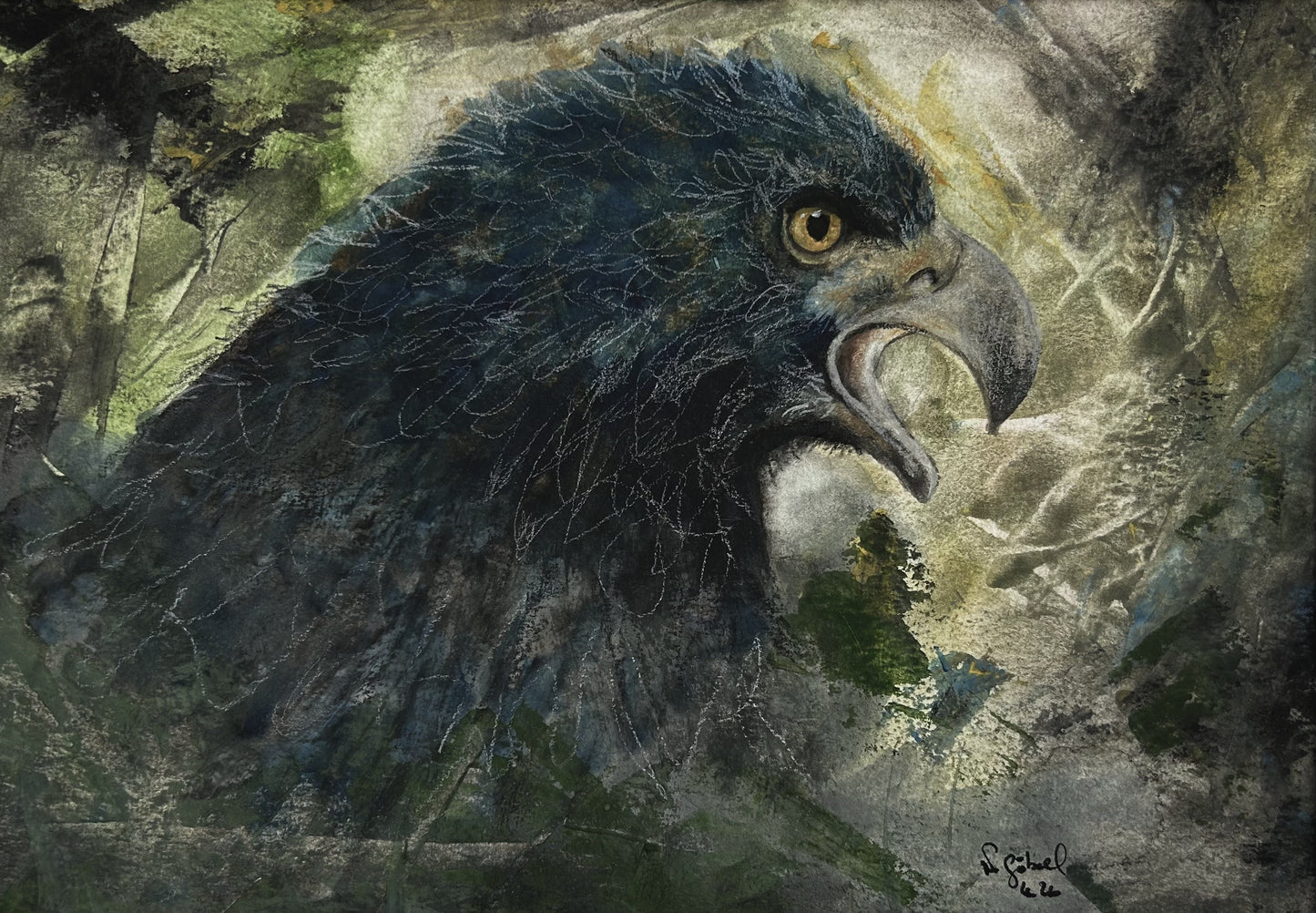 Originalkunst Adler als Aquarell "Fokus" von Nicole Göbel.