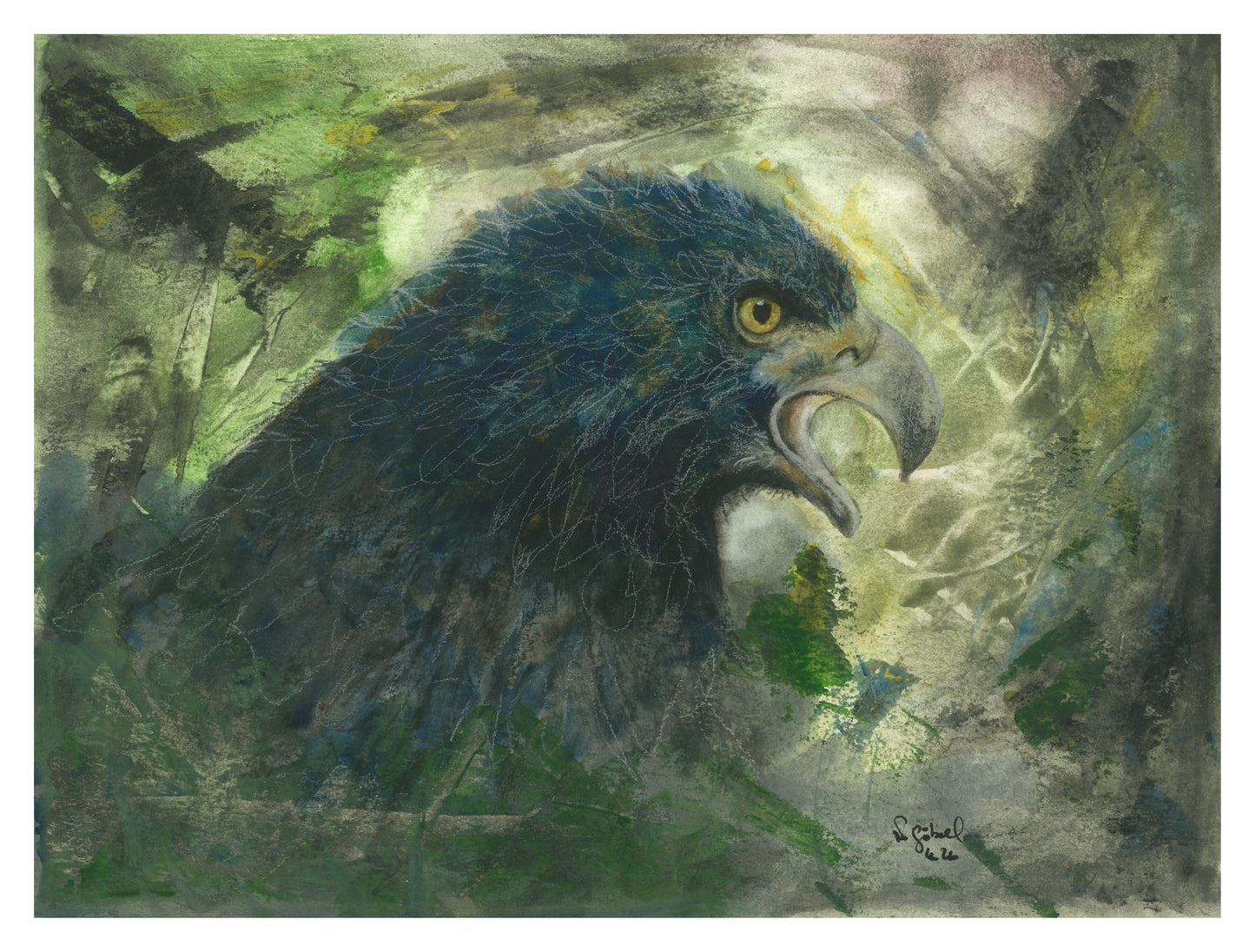 Fine Art Print Adler Aquarell Fokus, Kunstdruck mit weißem Rand