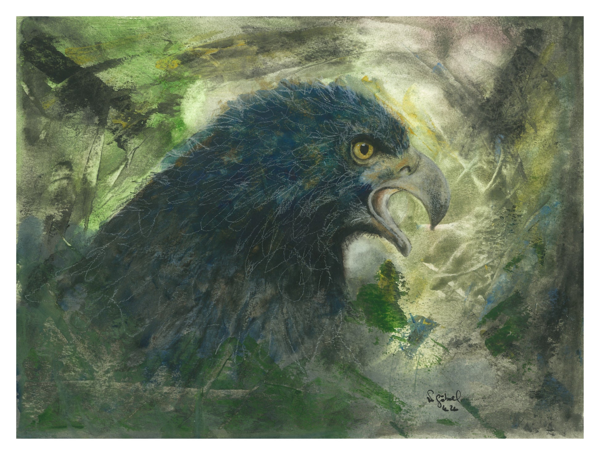 Fine Art Print Adler Aquarell Fokus, Kunstdruck mit weißem Rand
