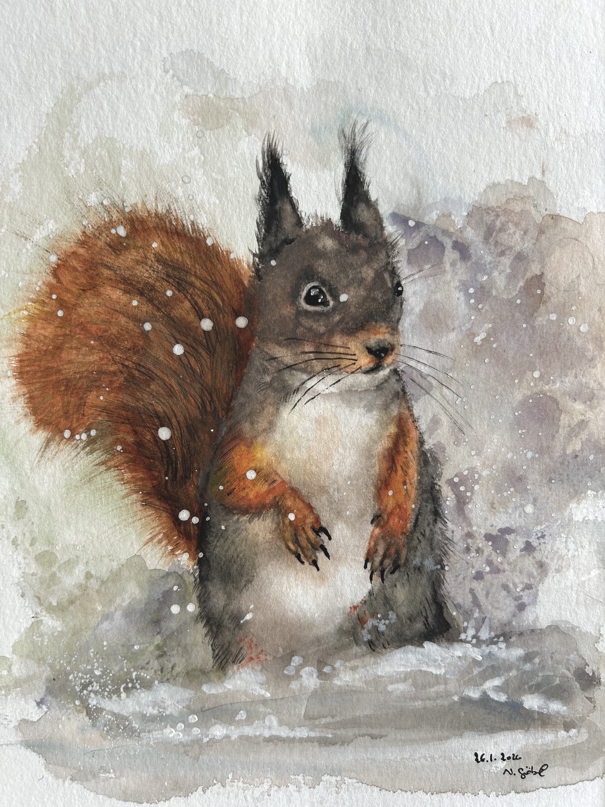 Originalkunst Eichhörnchen als Aquarell "Augenblick" von Nicole Göbel.