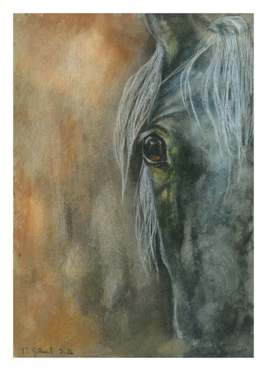 Fine Art Print Schimmel Pferd Aquarell Begegnung, Kunstdruck mit weißem Rand