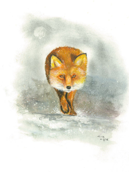 Fine Art Print nach dem Aquarell 
„Bedacht“ von Nicole Göbel: Rotfuchs läuft auf den Betrachter zu, winterlich grauer Grund