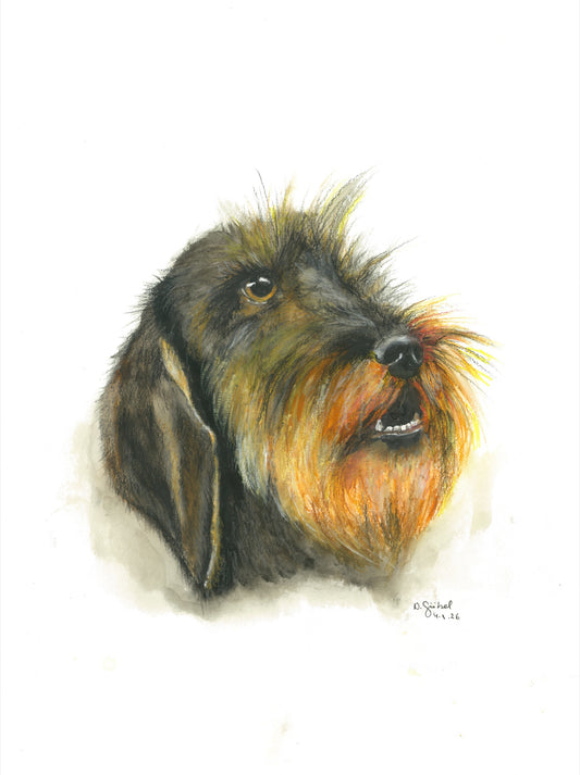 Fine Art Print nach dem Aquarell „Ausschau“ von Nicole Göbel: Hund mit orangefarbenem Bart im Kopfporträt