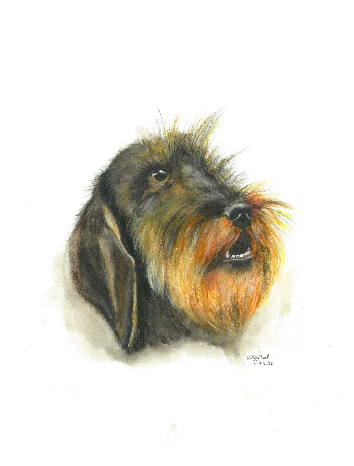 Fine Art Print Hund Aquarell "Ausschau", Kunstdruck mit weißem Rand