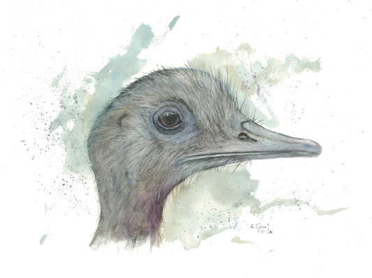 Fine Art Print nach dem Aquarell
„Eigenart“ von Nicole Göbel: Nandu im Seitenprofil in Grau, Blau und Violett