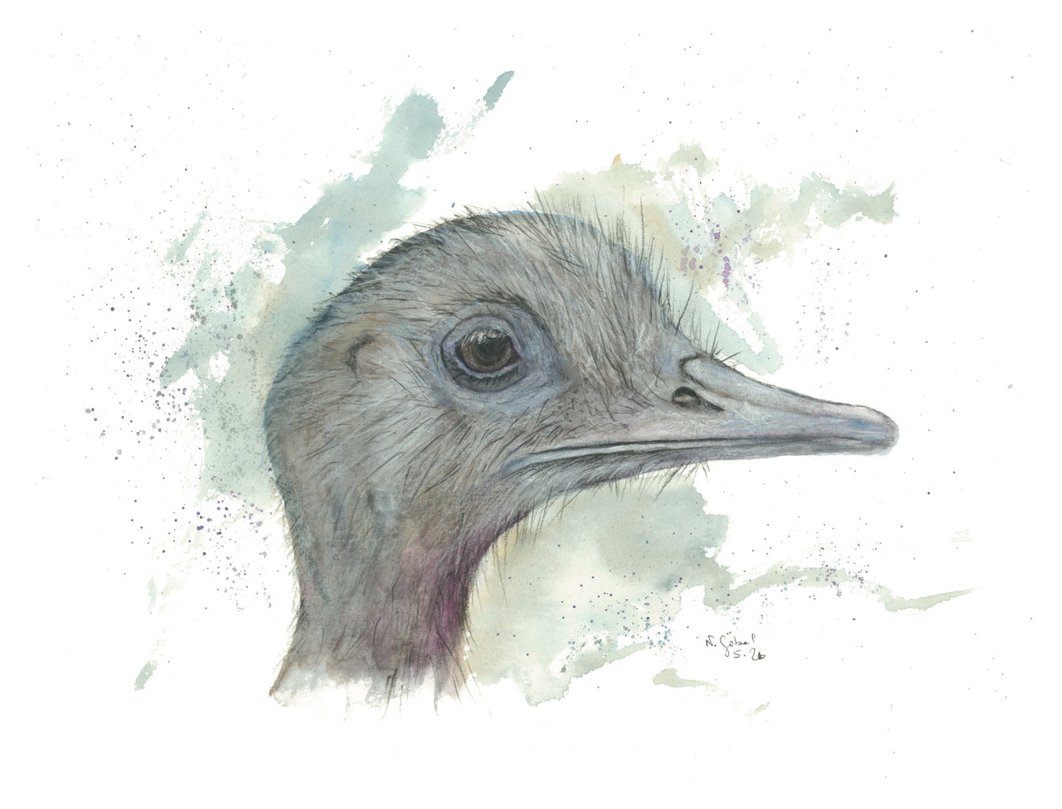 Fine Art Print Nandu Aquarell "Eigenart", Kunstdruck mit weißem Rand