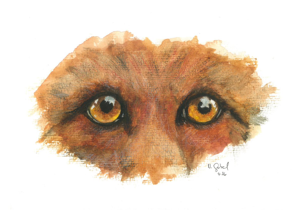 Fine Art Print Fuchsaugen Aquarell "Gespür", Kunstdruck mit weißem Rand