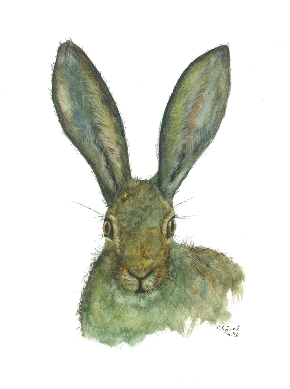 Fine Art Print nach dem Aquarell „Lauschen“ von Nicole Göbel: Feldhase mit langen Ohren, frontal