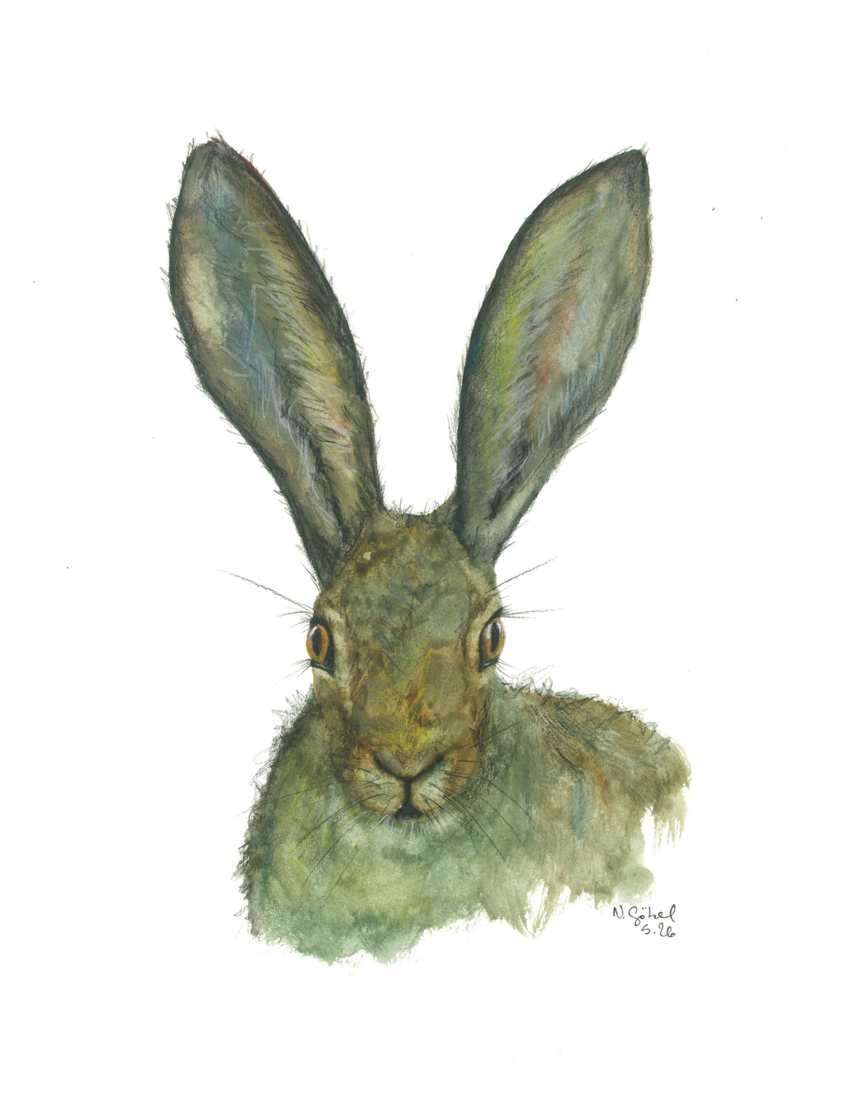 Fine Art Print Hase Aquarell "Lauschen", Kunstdruck mit weißem Rand