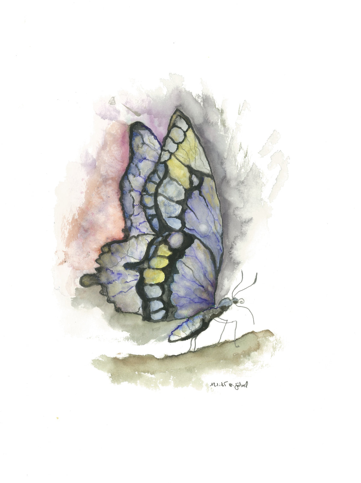Fine Art Print nach dem Aquarell „Entfaltung“ von Nicole Göbel: blau-lila Schmetterling in Seitenansicht mit goldenen Akzenten auf zartem rosa-violettem Grund