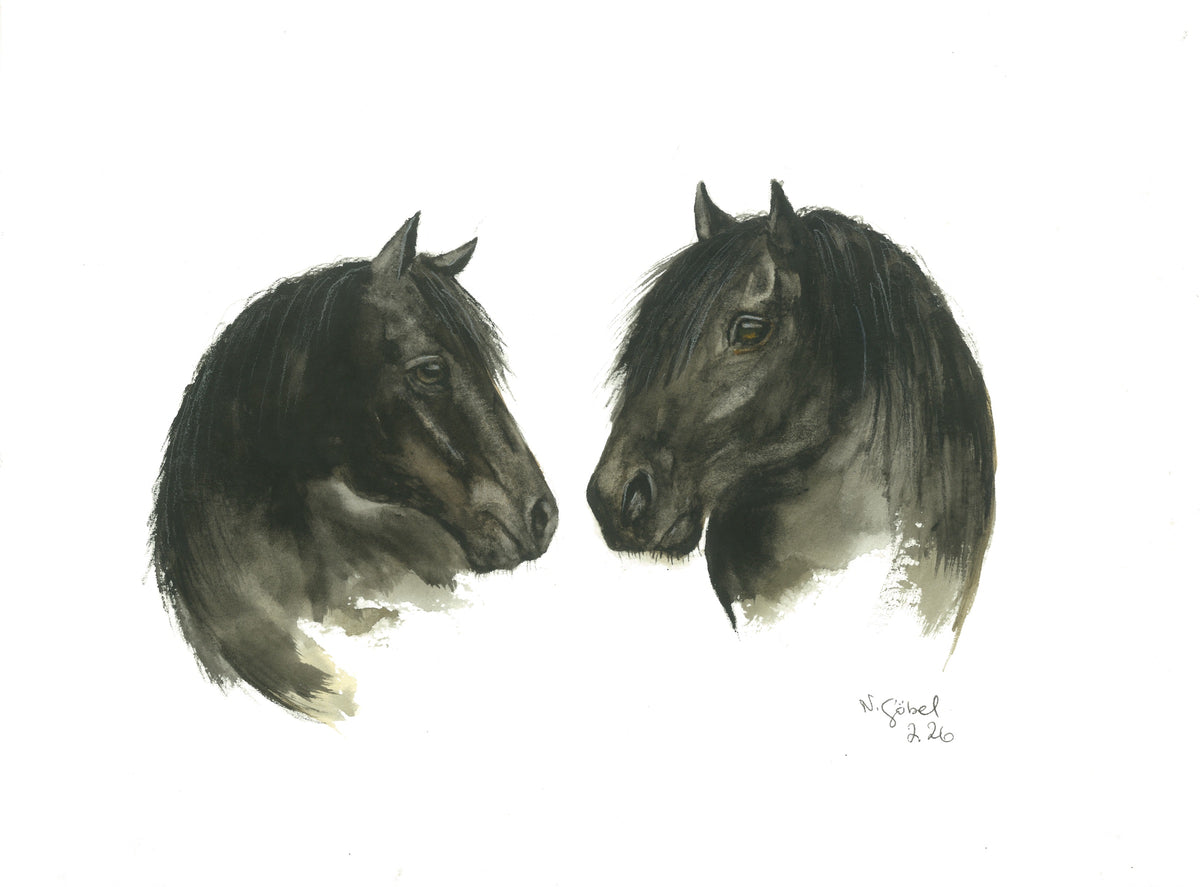 Fine Art Print nach dem Aquarell „Zwiesprache“ von Nicole Göbel: zwei schwarze Pferde, die einander zugewandt sind