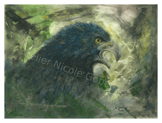 Fine Art Print Adler Aquarell Fokus, Kunstdruck mit weißem Rand