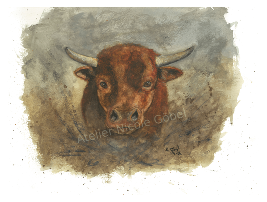 Fine Art Print Stier Aquarell Standhaft, Kunstdruck mit weißem Rand